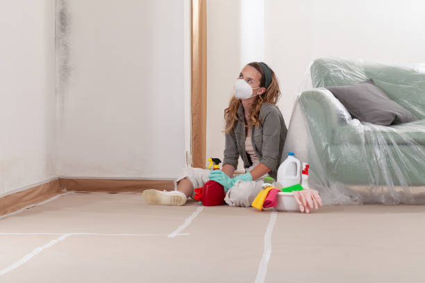 Reliable Mold Remediation contractor in Port Ludlow, WA by Car Mold Remediation